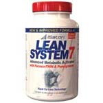 Lean System 7 Review