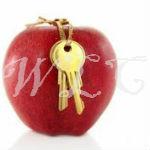 Apple Cider Vinegar