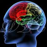 Blood Vessel Leaks in Brain May Lead to Dementia