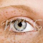10 Foods That Promote Eye Health