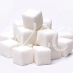 Insulin Resistance 