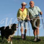 Physical Activity Maintains Mobility in the Elderly