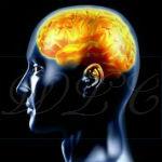 How Nootropics Boost Brain Health