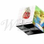 Weight-Loss-Center Cancer Causes 