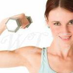 Great Sources of Free Workout Videos Online 