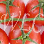 Lycopene Antioxidant Health Benefits