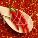 Do Chillies Increase Metabolism?