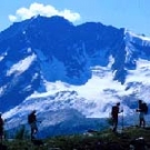 Mountain Trek Fitness Retreat and Health Spa