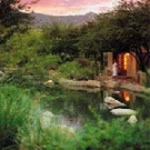 Miraval Health Spa Resort 