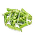 Do Vegetables Contain Protein?