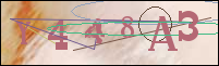 Registration Image