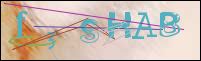Registration Image